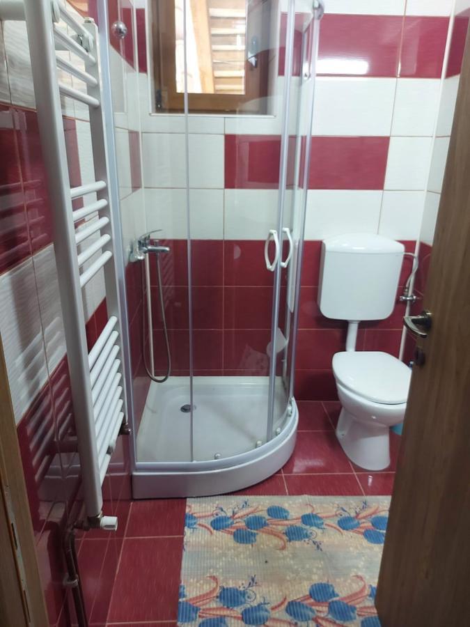 Vila Ioana Otel Slănic-Moldova Dış mekan fotoğraf