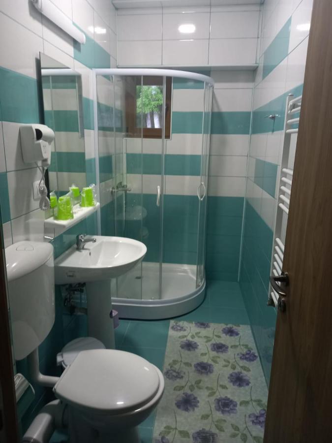Vila Ioana Otel Slănic-Moldova Dış mekan fotoğraf